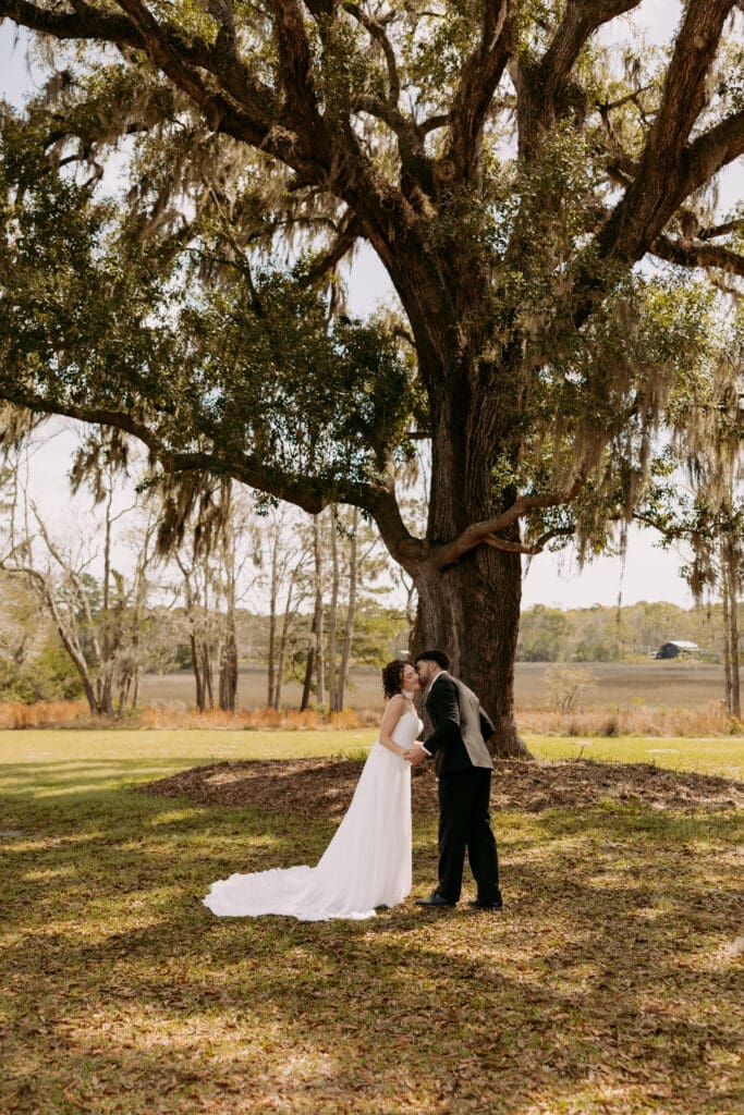 Pine Creek Place spanish oak tree 